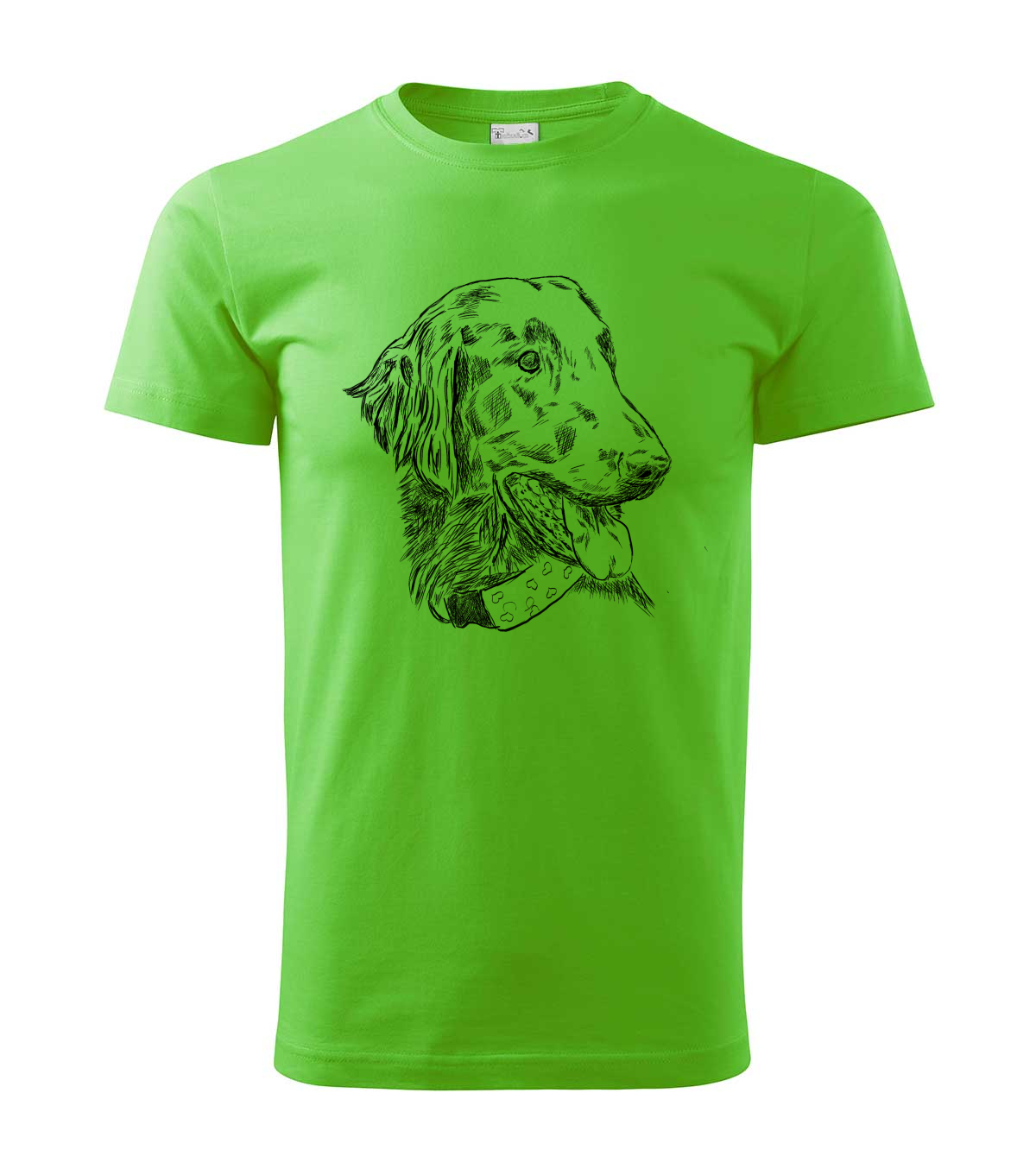 Flat coated retriever - apple green