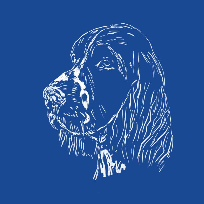Springer Spaniel - královsky modrá