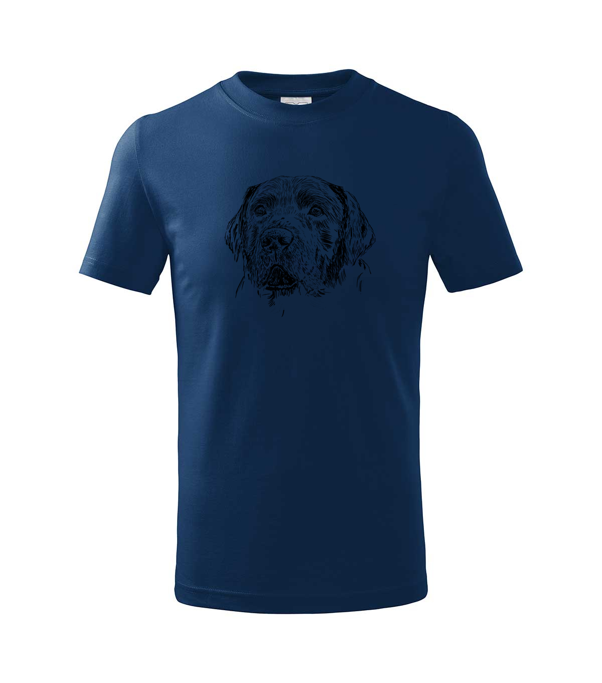 Labradorský retriever - půlnoční modrá