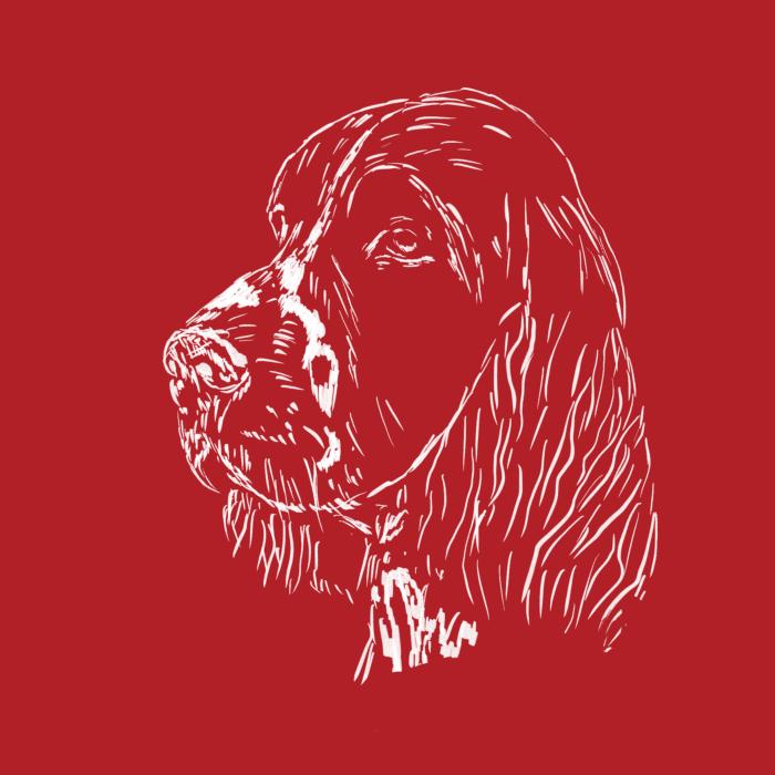Springer Spaniel - červená