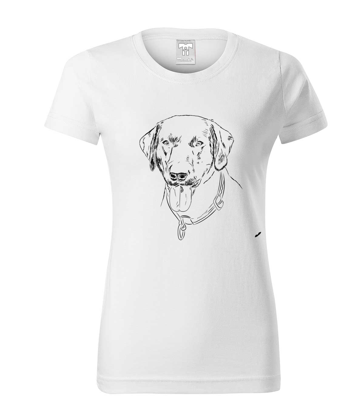 Labradorský retriever - bílá
