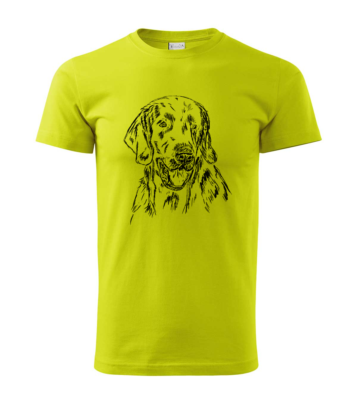 Flat coated retriever