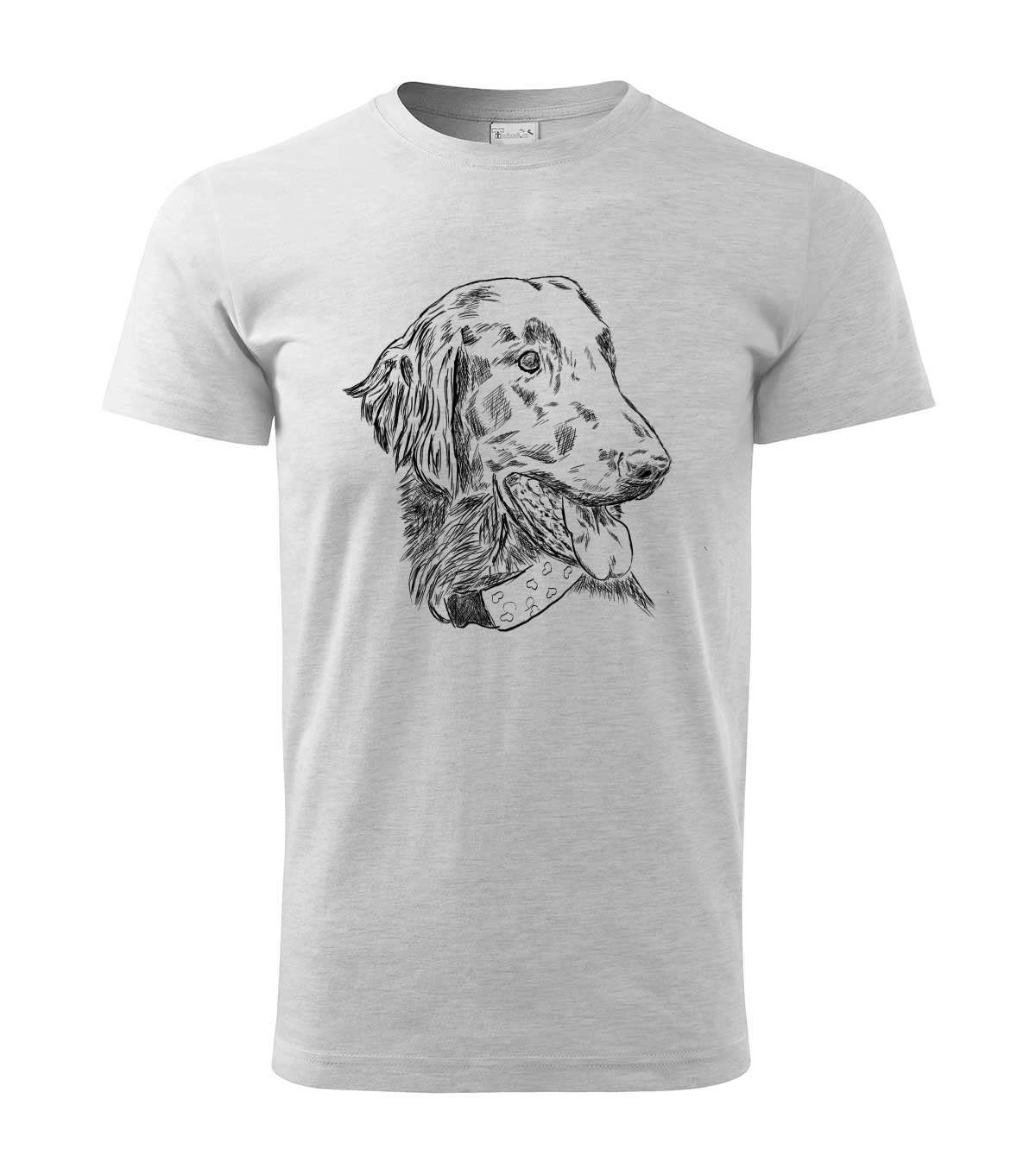 Flat coated retriever - světle šedý melír