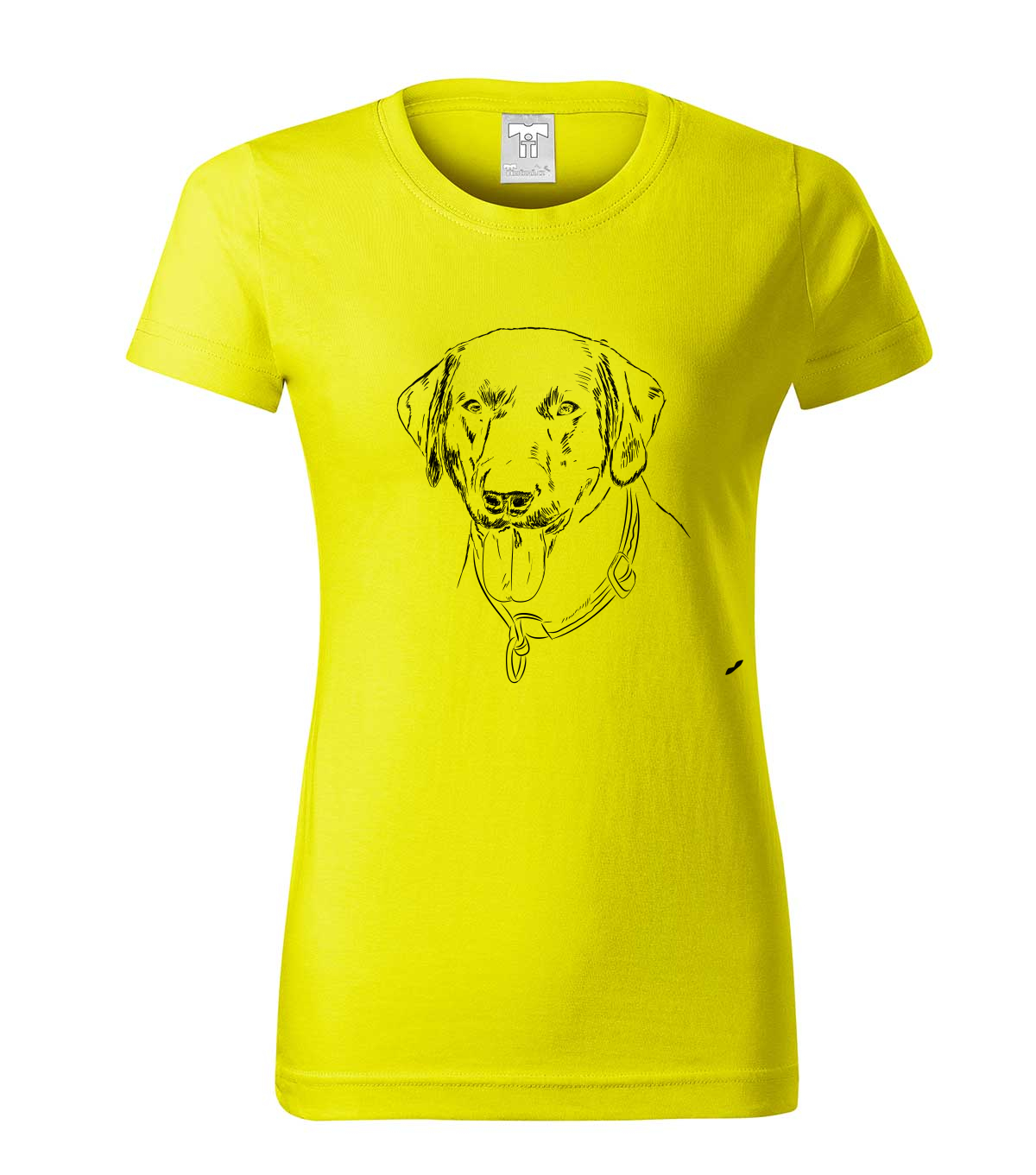 Labradorský retriever - citonová