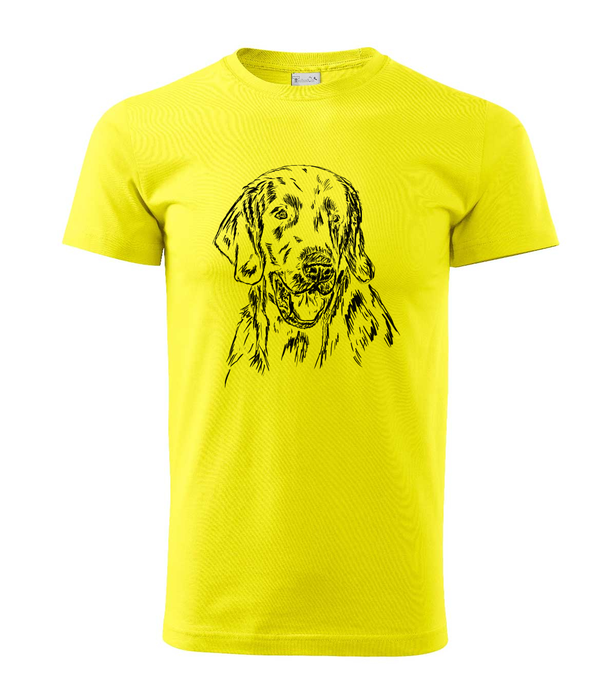Flat coated retriever - citonová