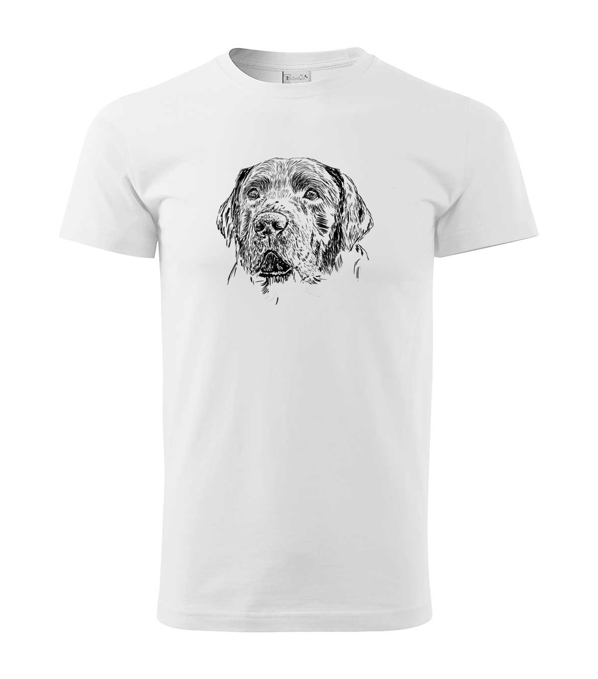 Labradorský retriever - bílá