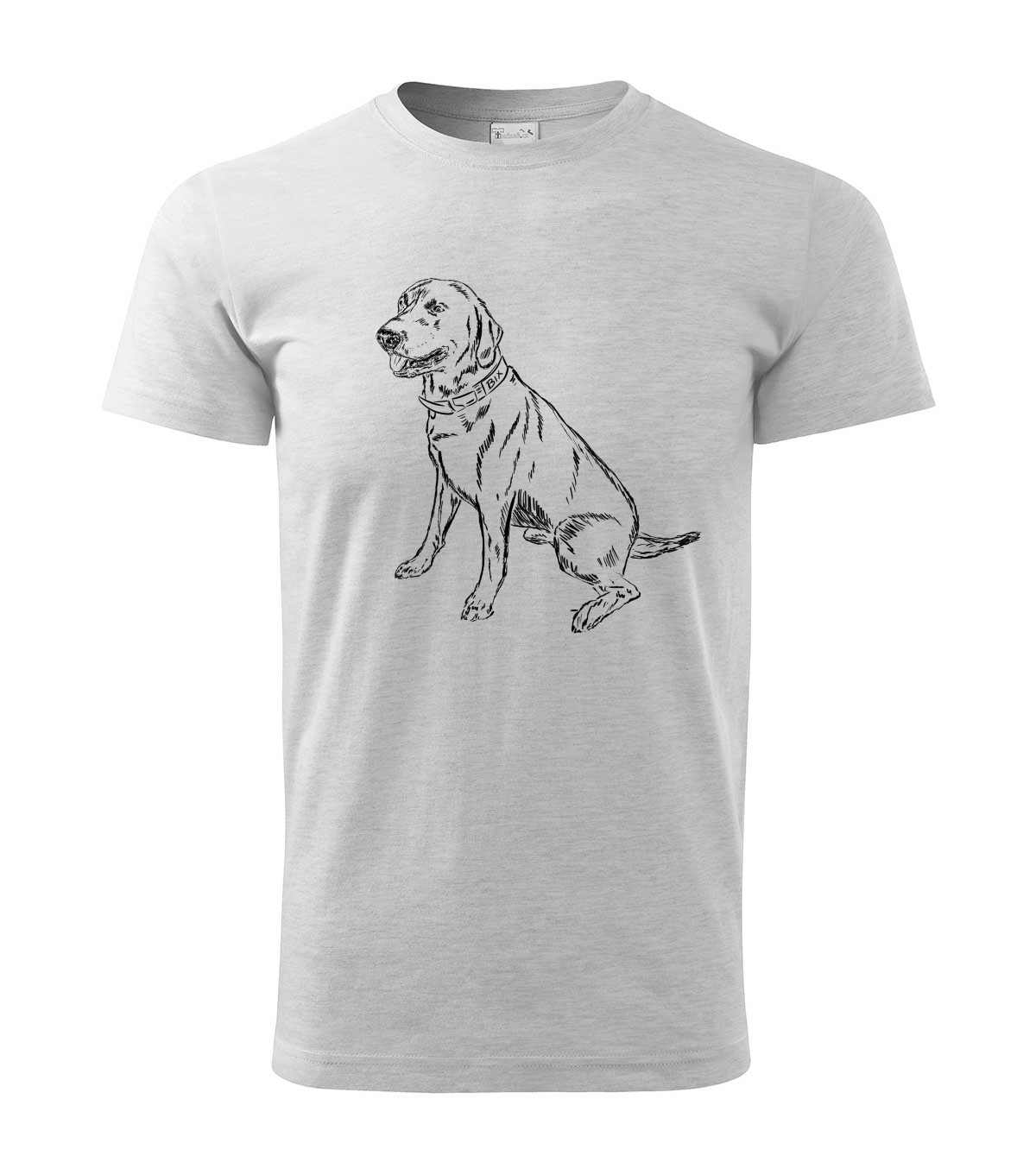 Labradorský retriever - světle šedý melír
