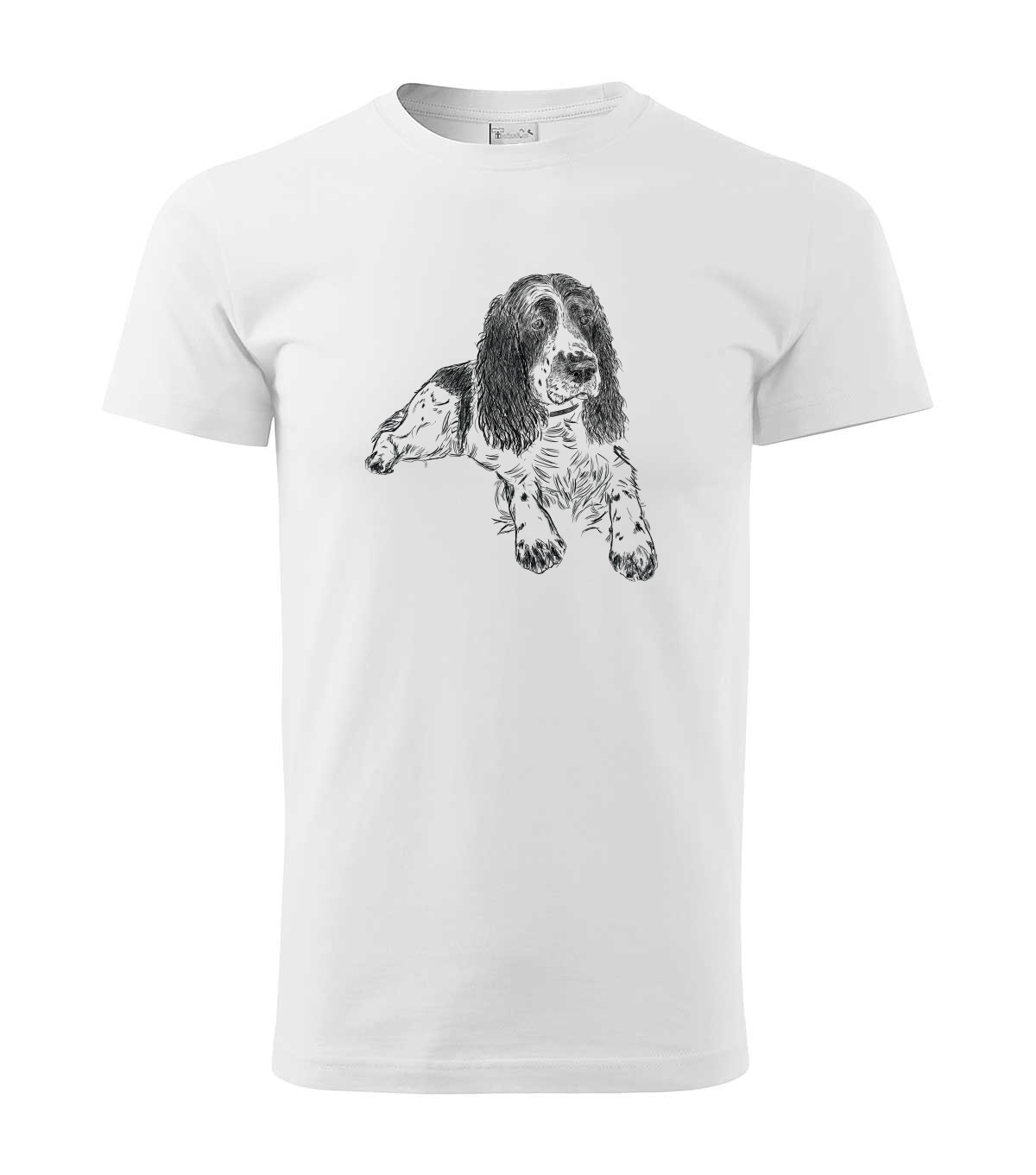 Springer Spaniel