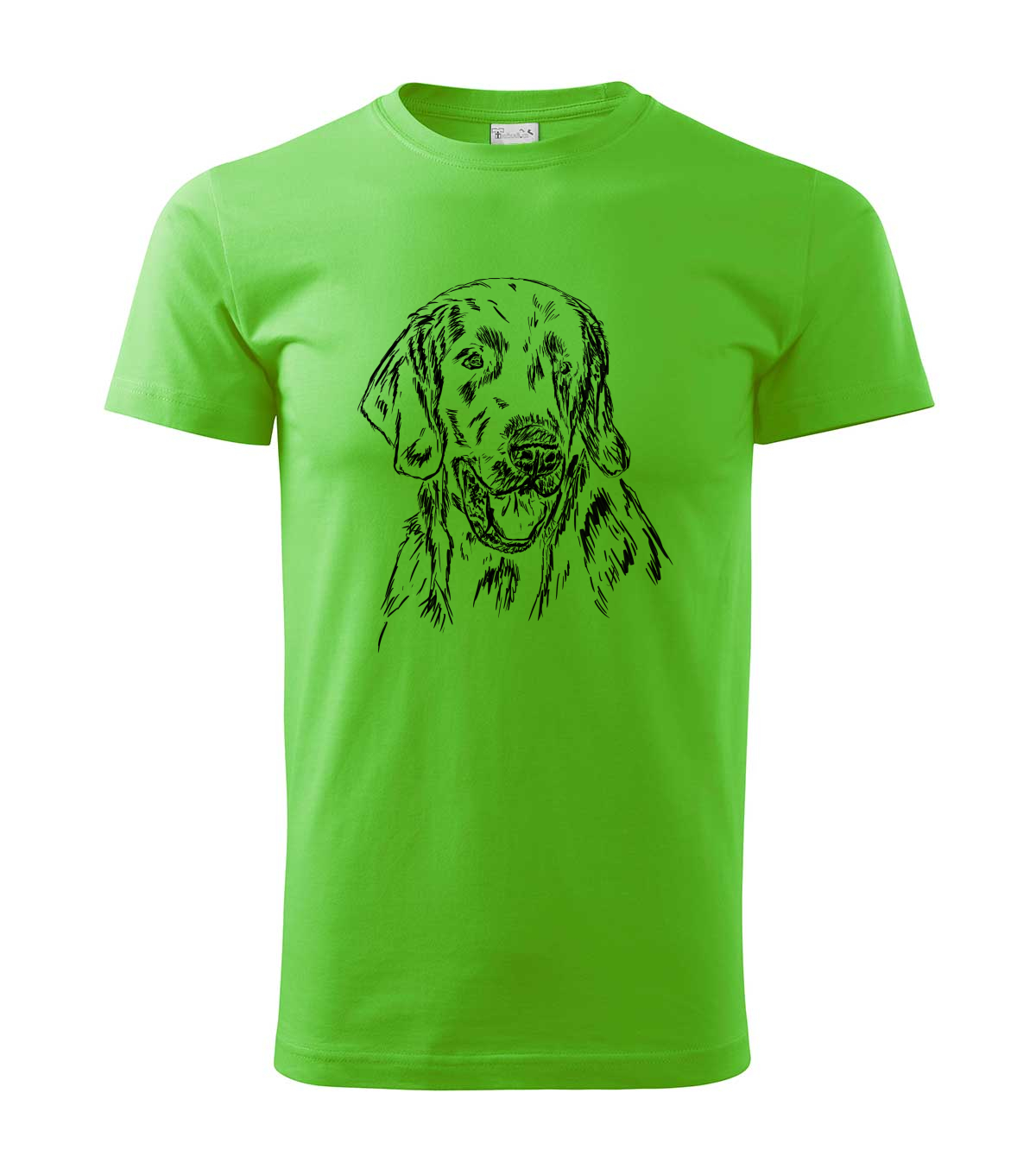 Flat coated retriever - apple green