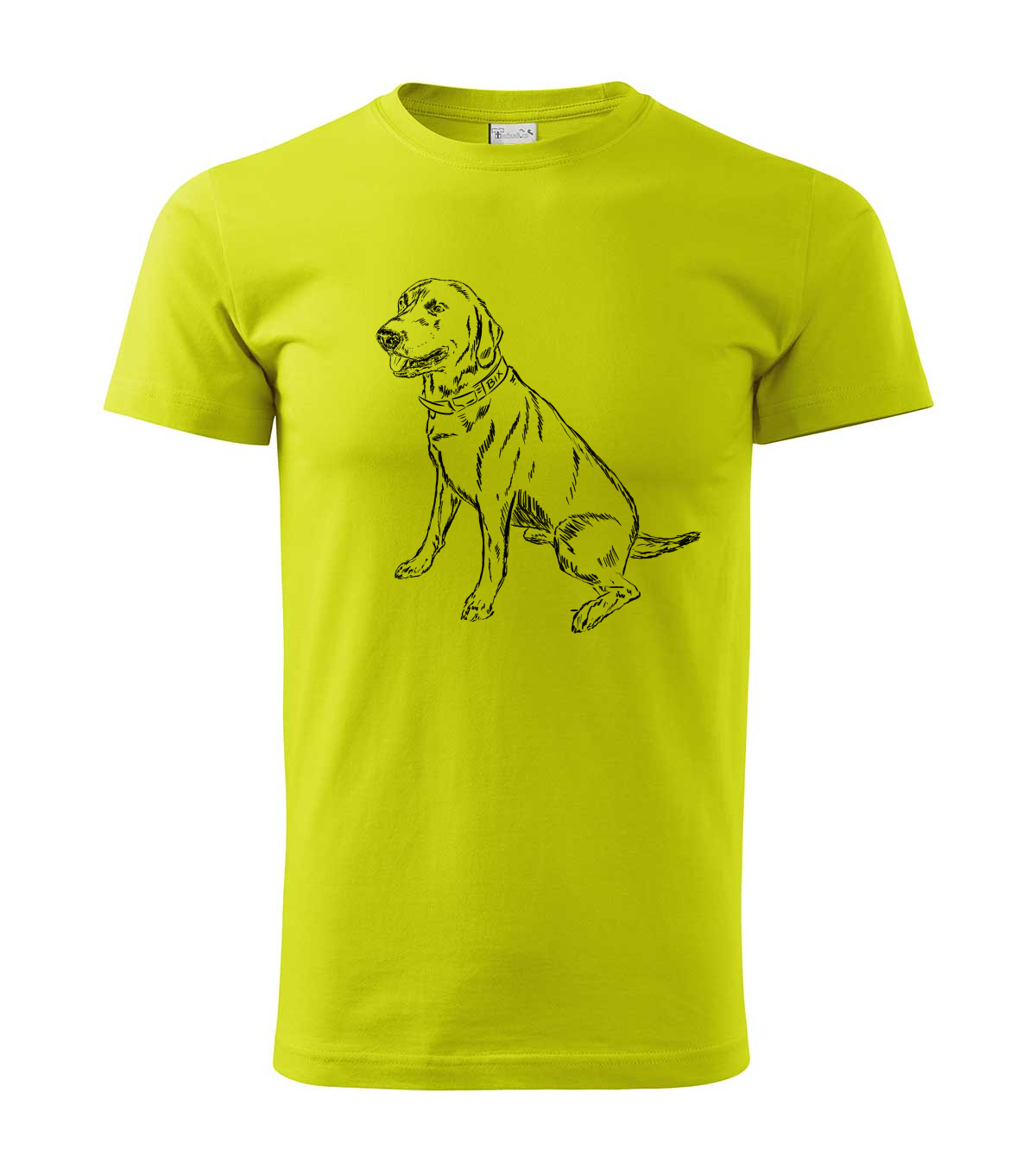 Labradorský retriever
