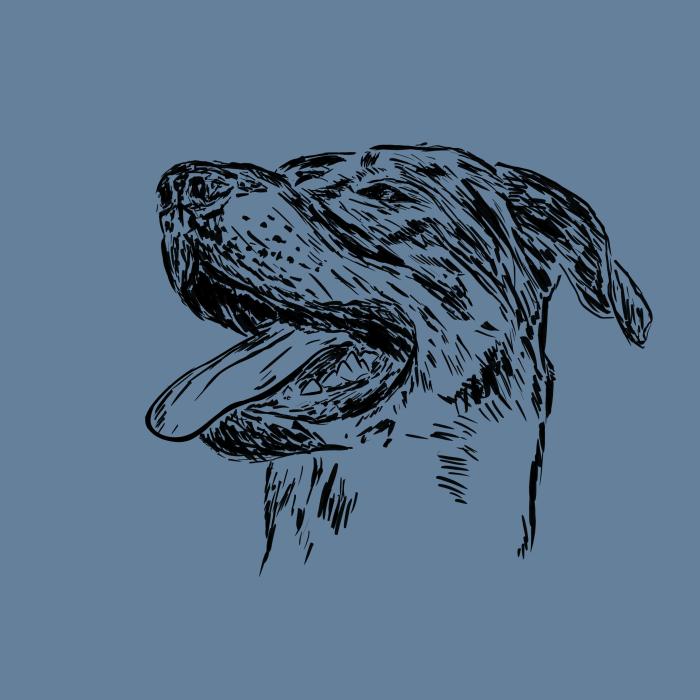 Bauceron - denim